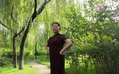 午夜蝴蝶在线观看免费视频